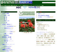 Tablet Screenshot of newglass.jp